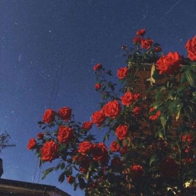 NG28下载地址官网