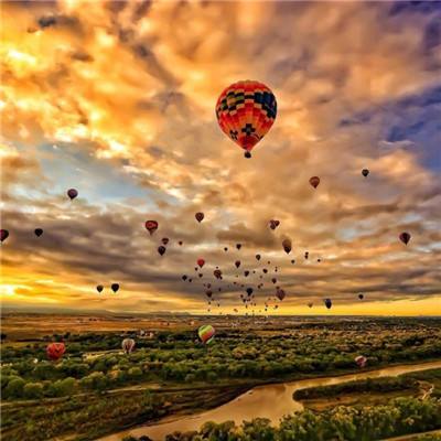 米乐网手机app下载