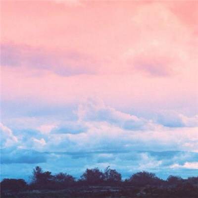 一码一肖100准资料应用下载手机版