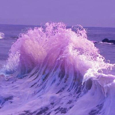 云开平台app最新版app下载