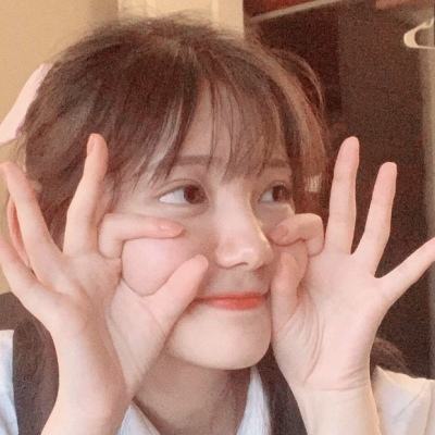 半岛官方登录地址